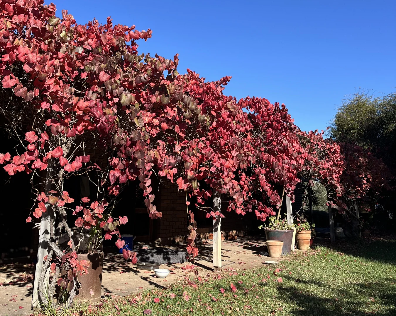 Additional image 24 of 520 Mayrung Road, Finley NSW 2713