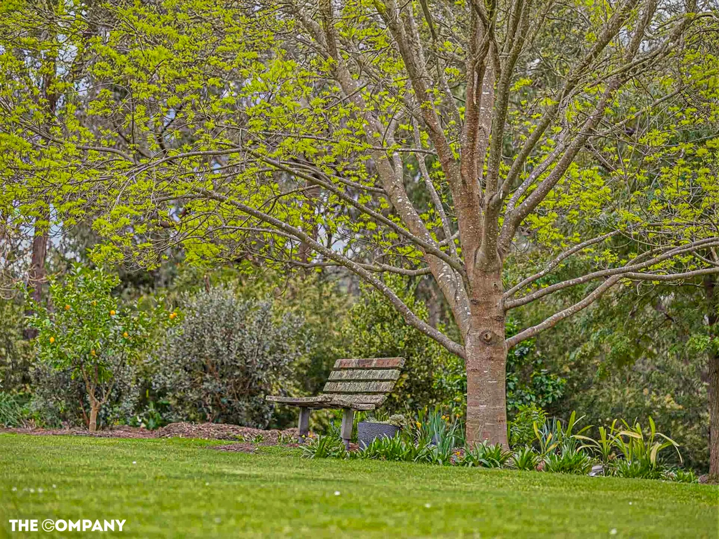 Additional image 21 of 67 Koolbirra Rd, Maryknoll VIC 3812