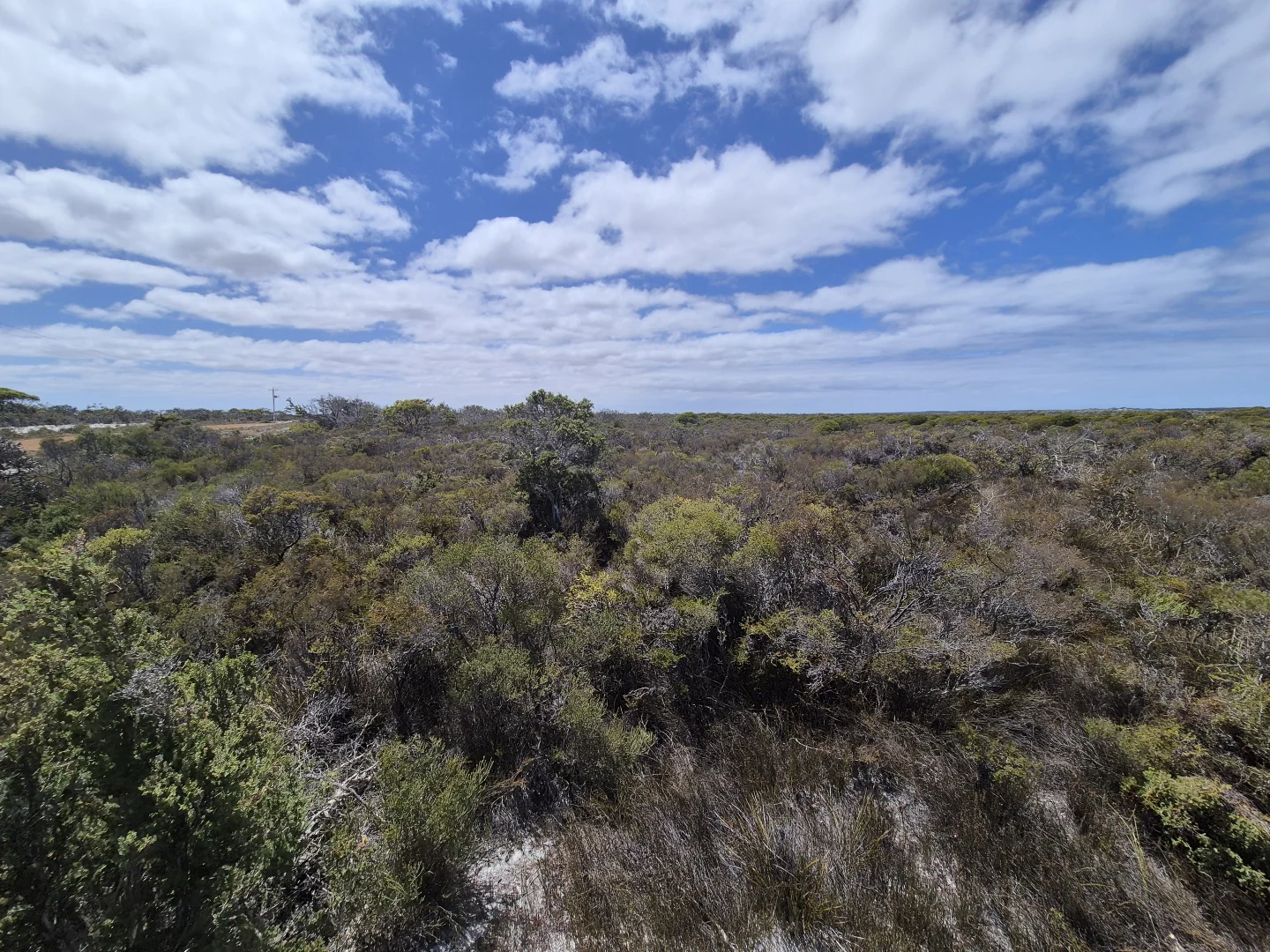 Additional image 10 of 344 Dotterel Drive, Hopetoun WA 6348