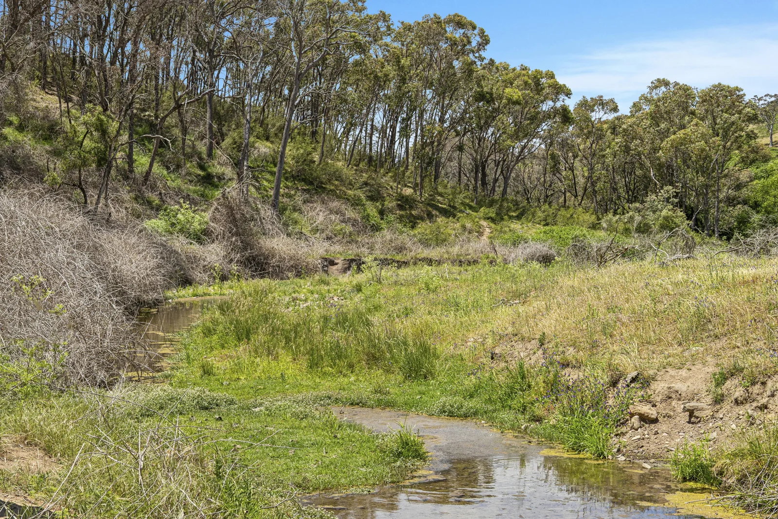 Additional image 11 of Lot 1/414 Horseshoe Rd, Mullion NSW 2582