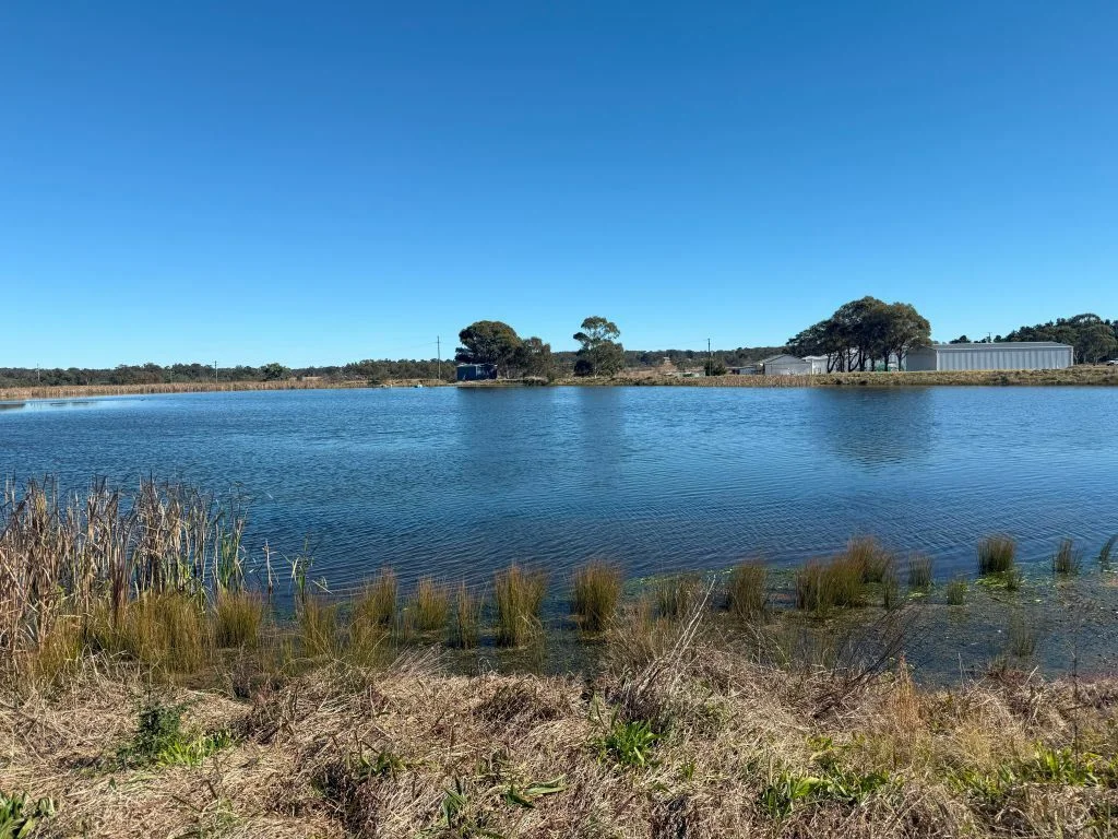 Additional image 10 of 79 Cottonvale School Rd, Cottonvale QLD 4375