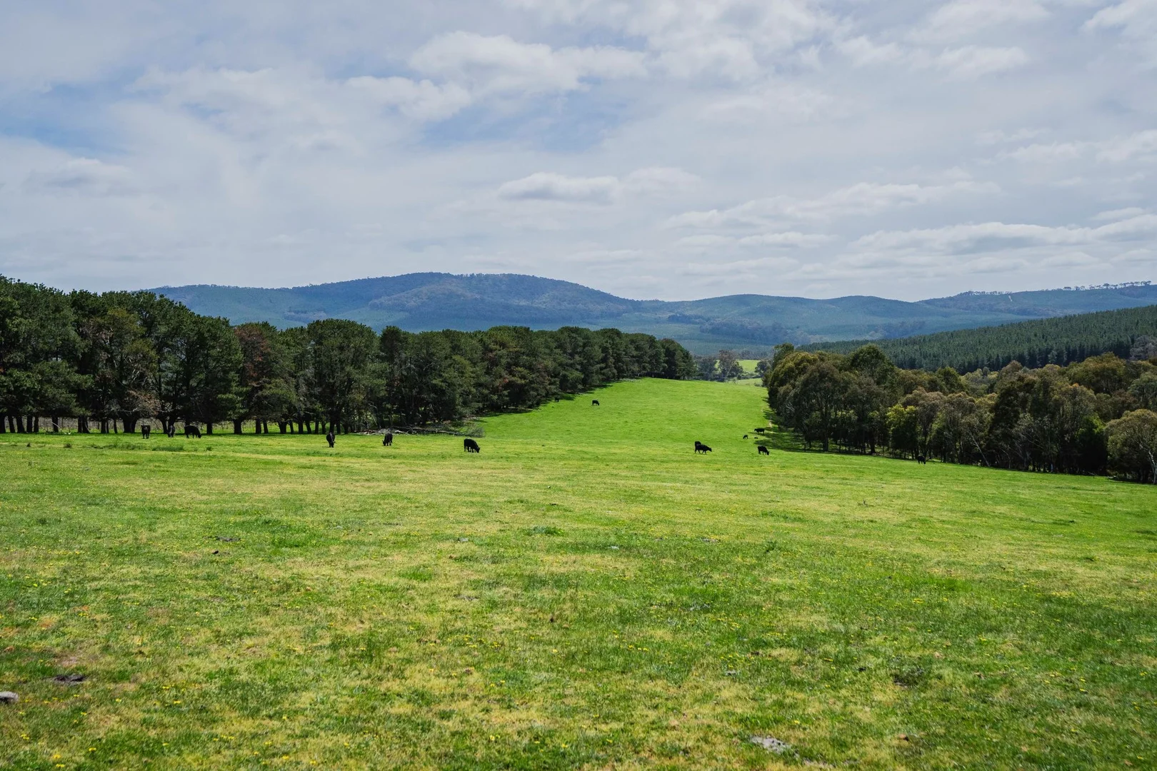 Additional image 14 of 2026 Jingellic Road, Tumbarumba NSW 2653