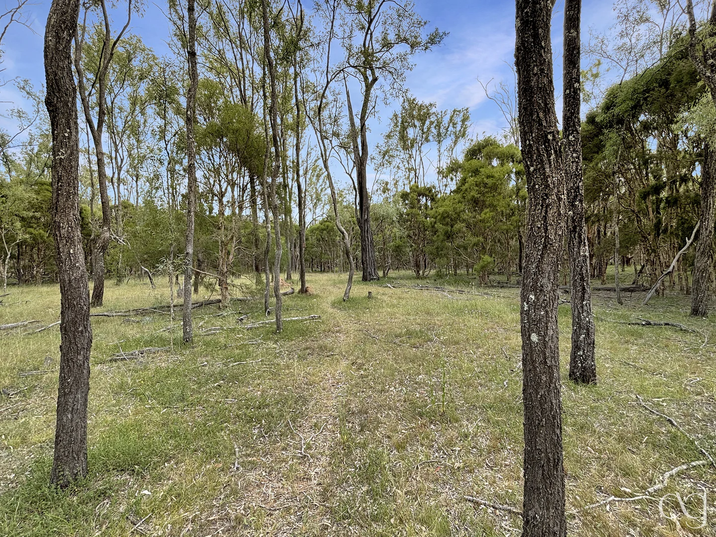 Additional image 39 of 91 Goebels Road, Mutdapilly QLD 4307