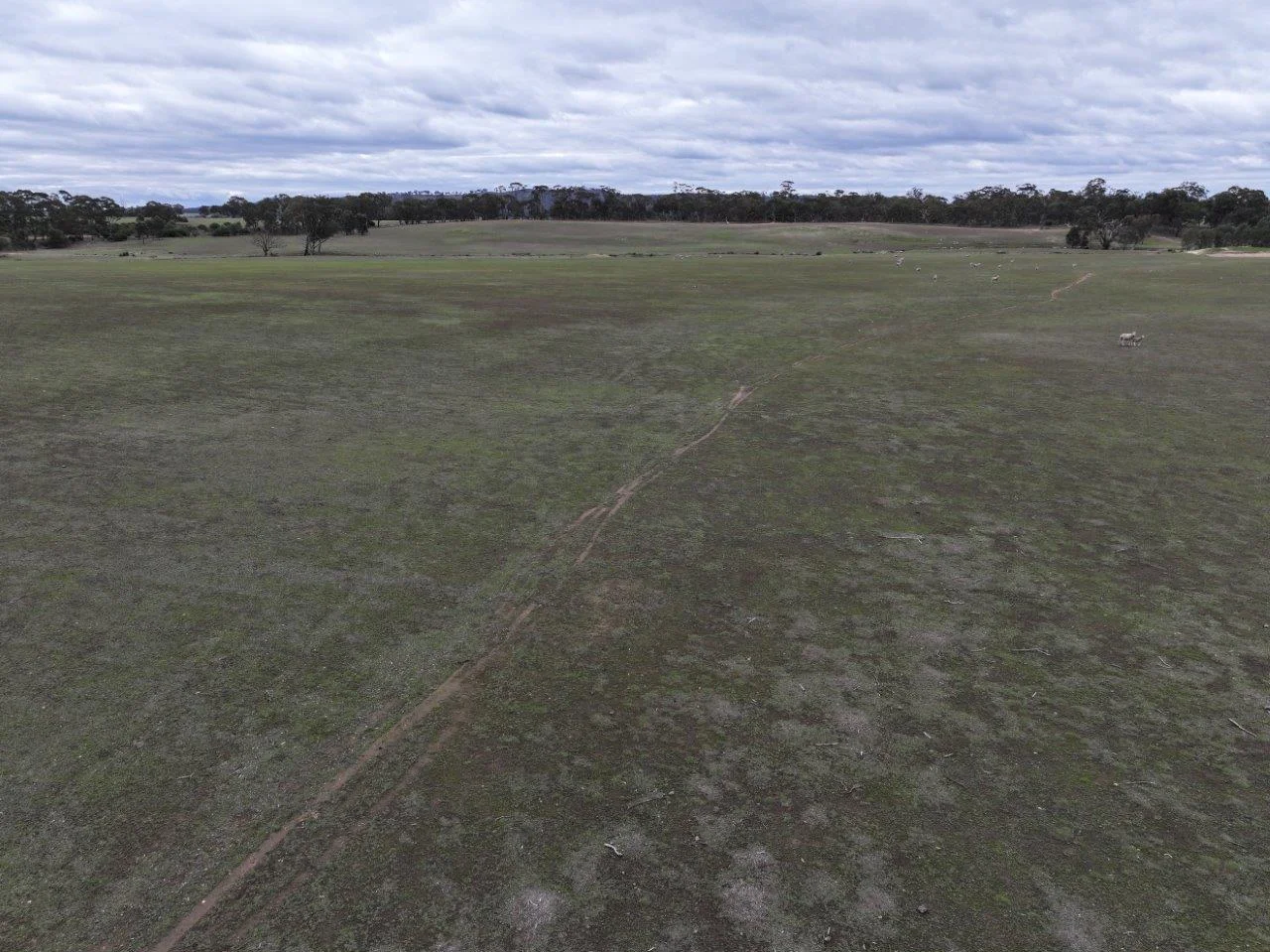 Additional image 19 of Lot 1 Rheola - Llanelly Road, Murphys Creek VIC 3551