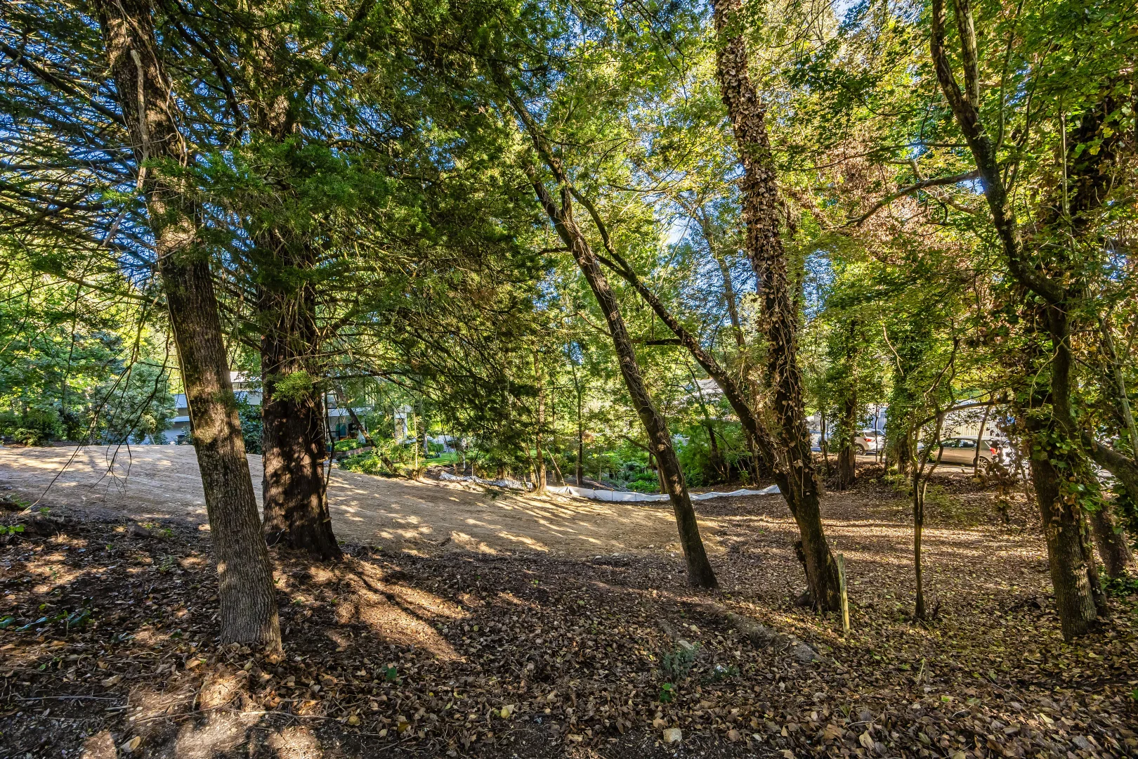 Additional image 7 of 2 Twin Street, Stirling SA 5152