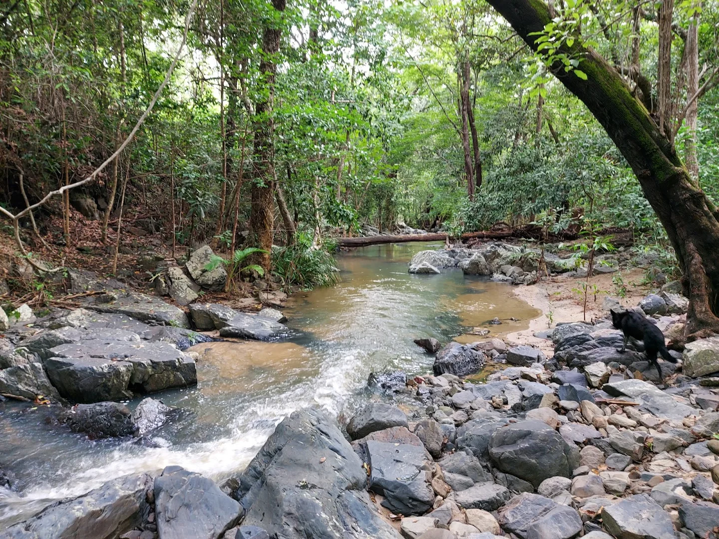 Additional image 7 of 2356 Mulligan Highway, Rossville QLD 4895