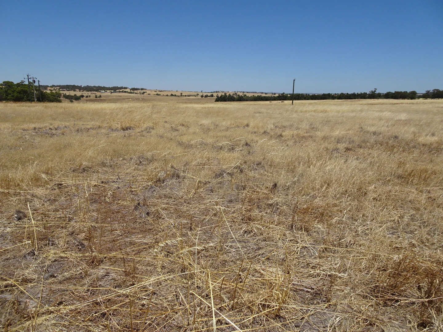 Additional image 4 of 160 Chittleborough Road, Brookton WA 6306