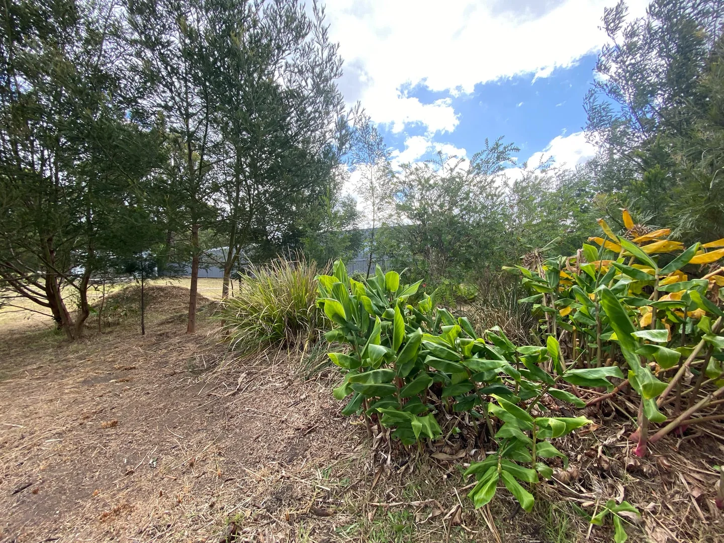 Additional image 3 of 24 Terra Nova Drive, Mallacoota VIC 3892