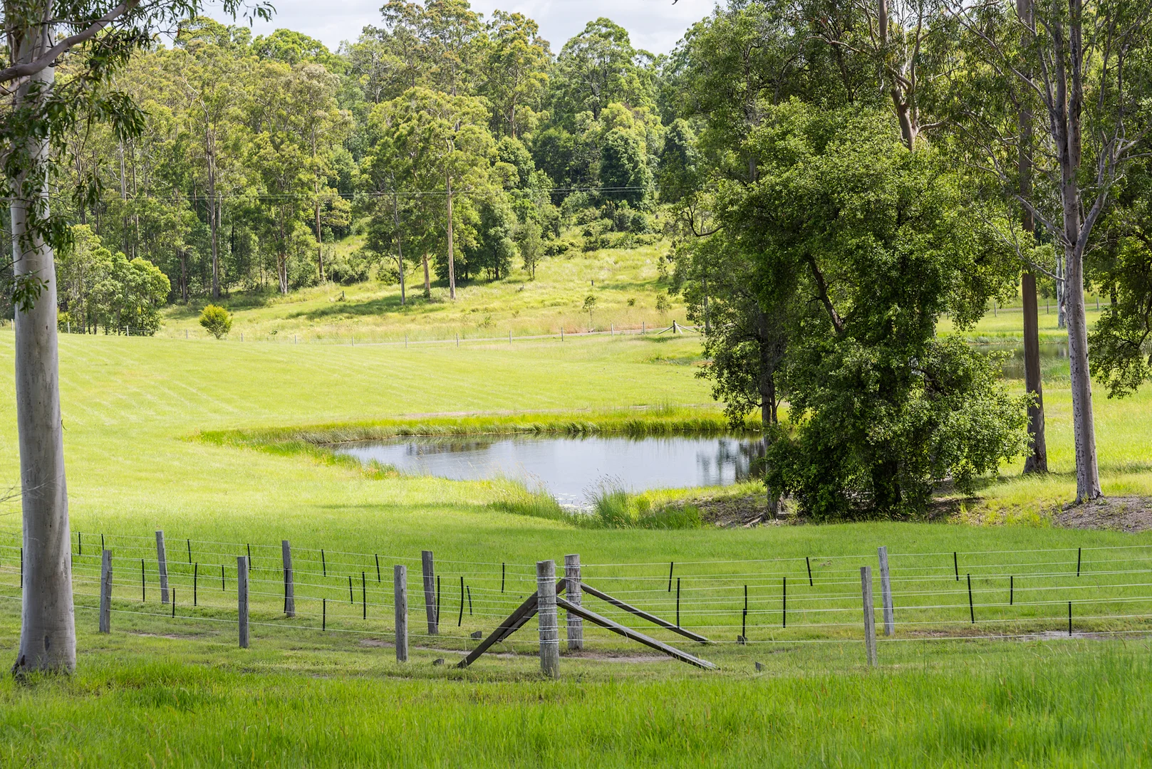 Additional image 23 of 240 Keefton Road, Woondum QLD 4570