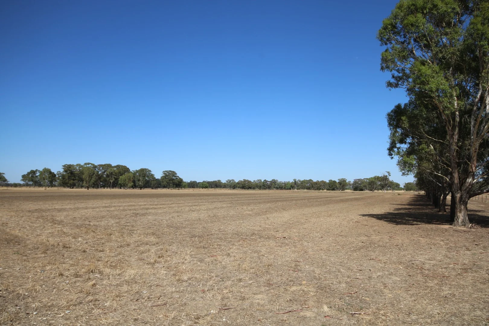 Additional image 9 of 1480 Fennaughty Road, Merrigum VIC 3618