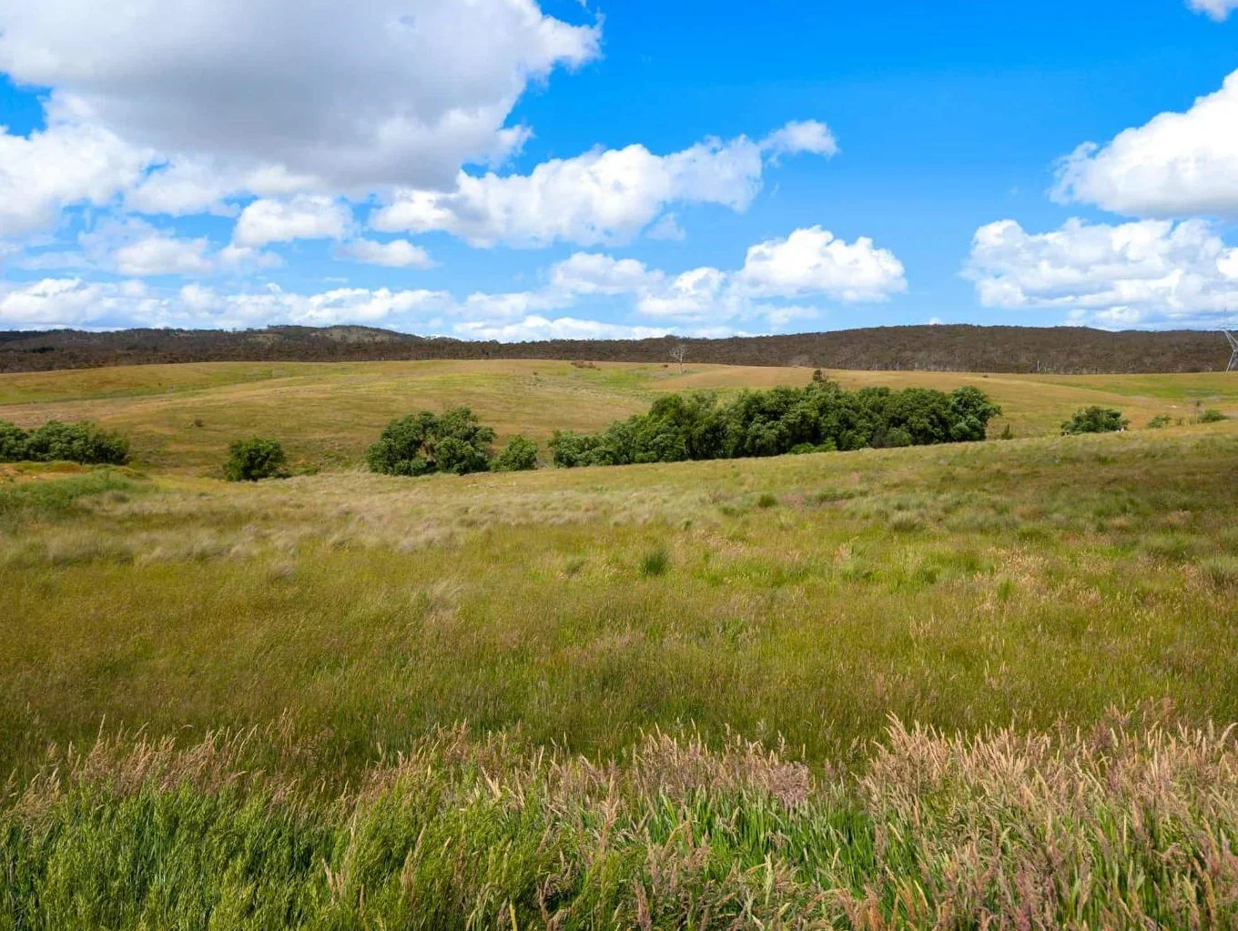 Additional image 4 of 83 Shinglehouse Road, Bywong NSW 2621