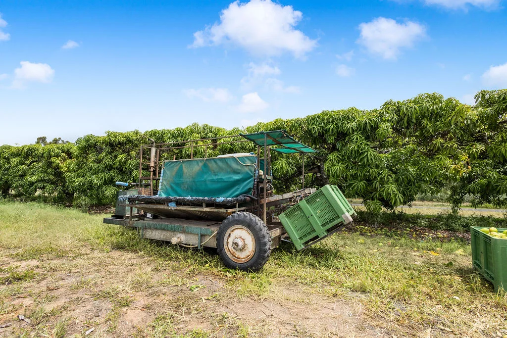 Additional image 28 of 1151 Leafgold Weir Road, Dimbulah QLD 4872