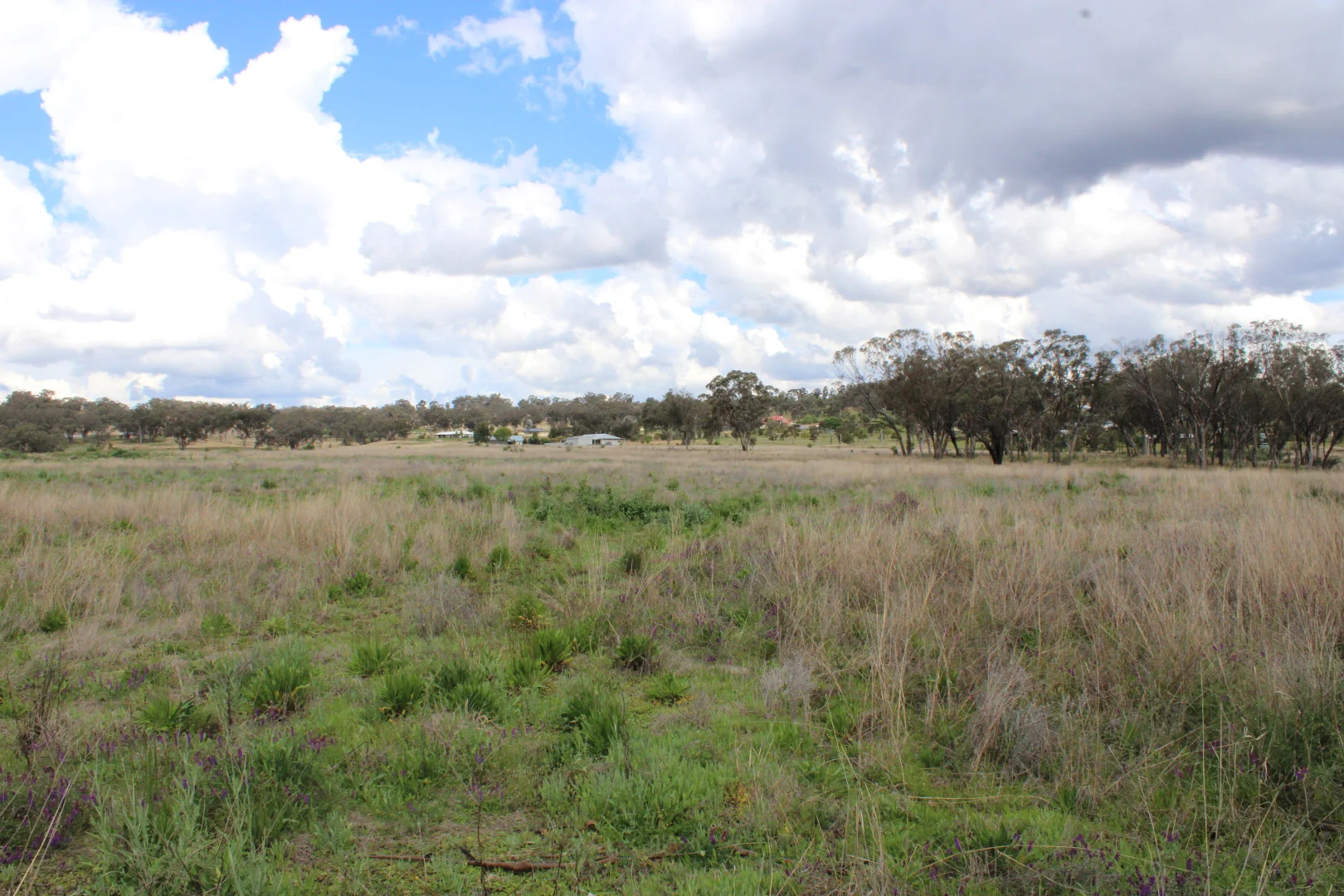 Additional image 9 of Lot 2 Burtenshaws Road, Inverell NSW 2360