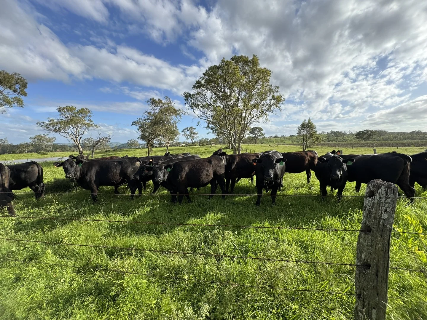 Additional image 2 of 231 Dascombe Road, Coalbank QLD 4352