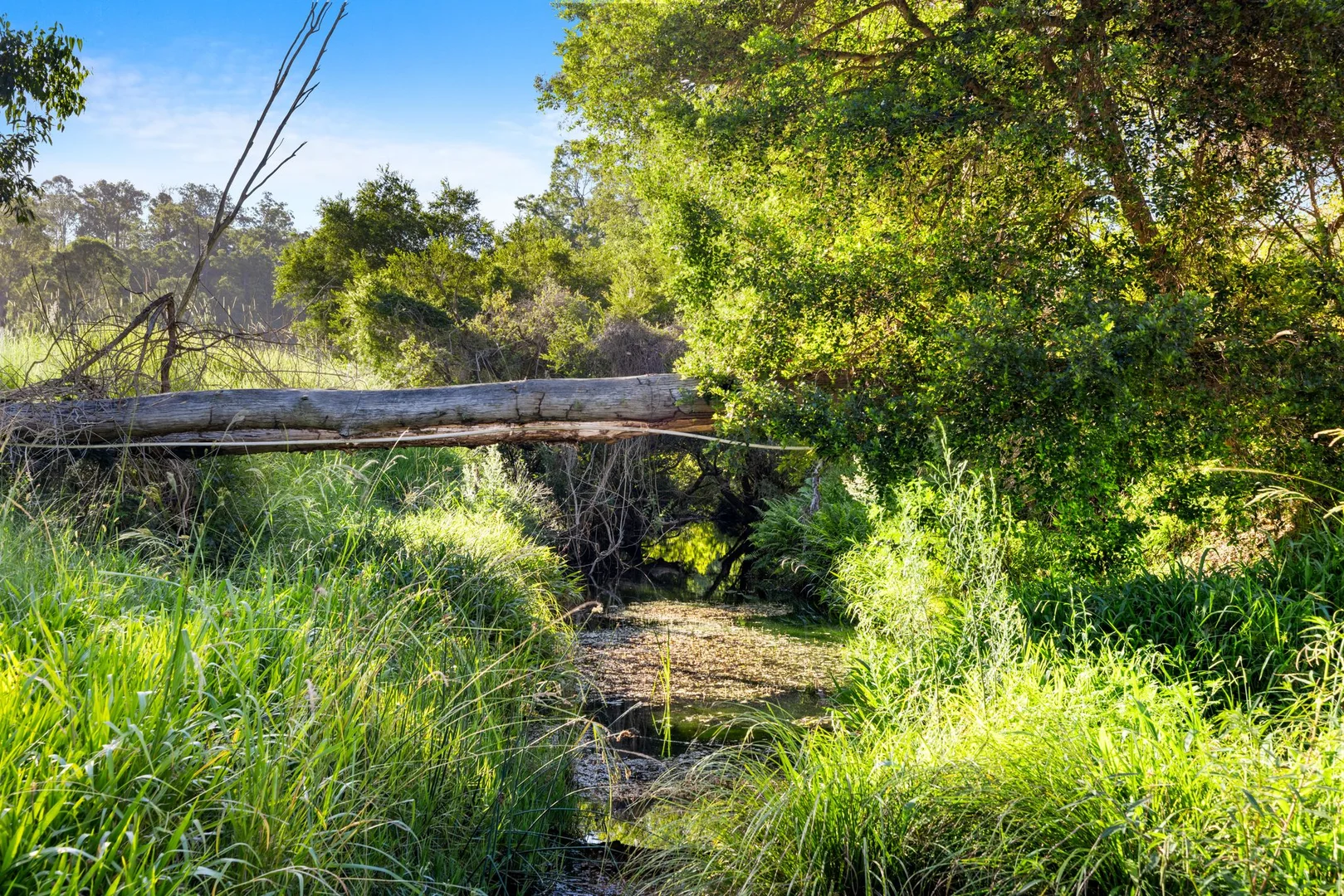 Additional image 35 of 370 Old Cob O Corn Road, Kyogle NSW 2474