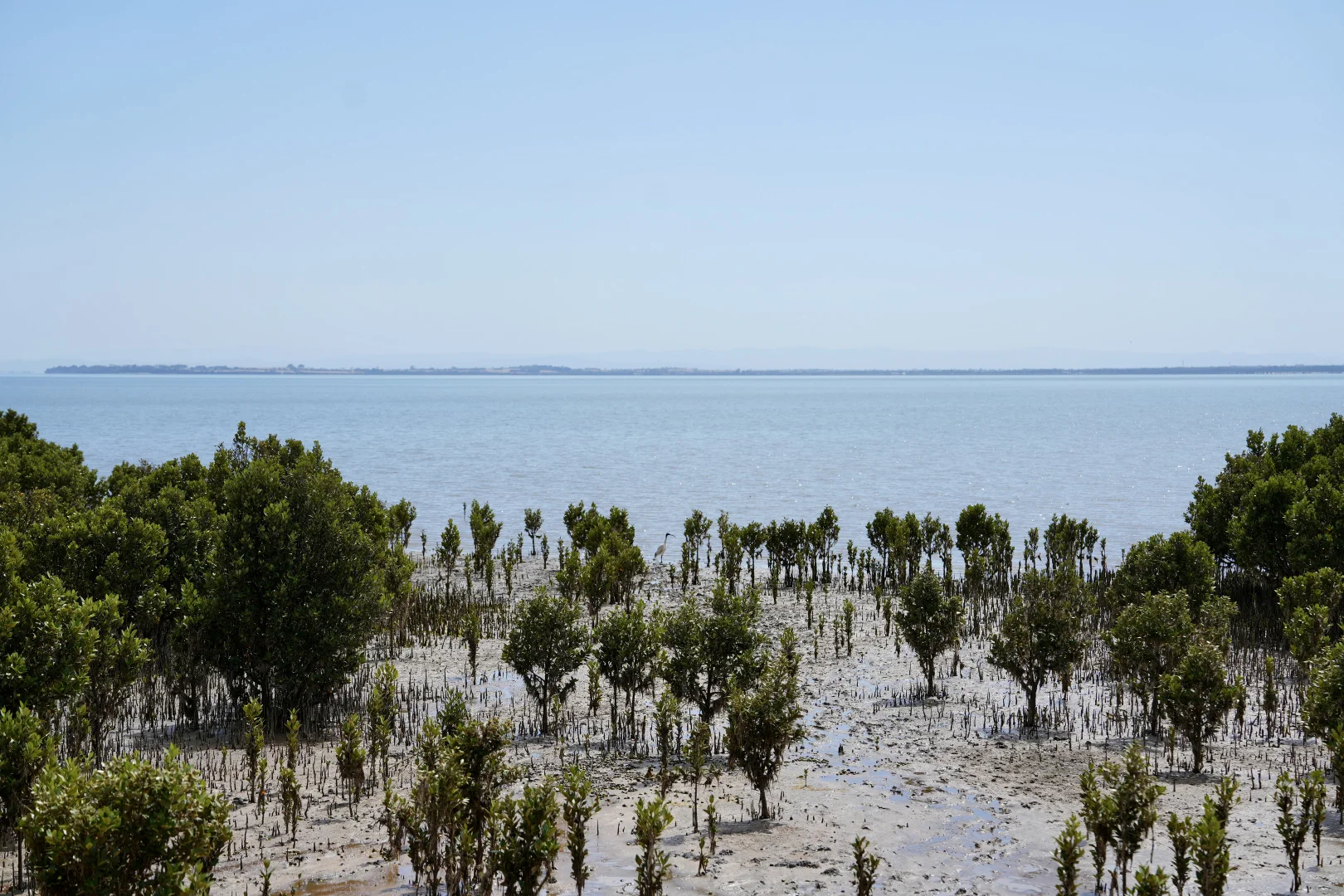 Additional image 32 of 23 Blackwood Close, Grantville VIC 3984