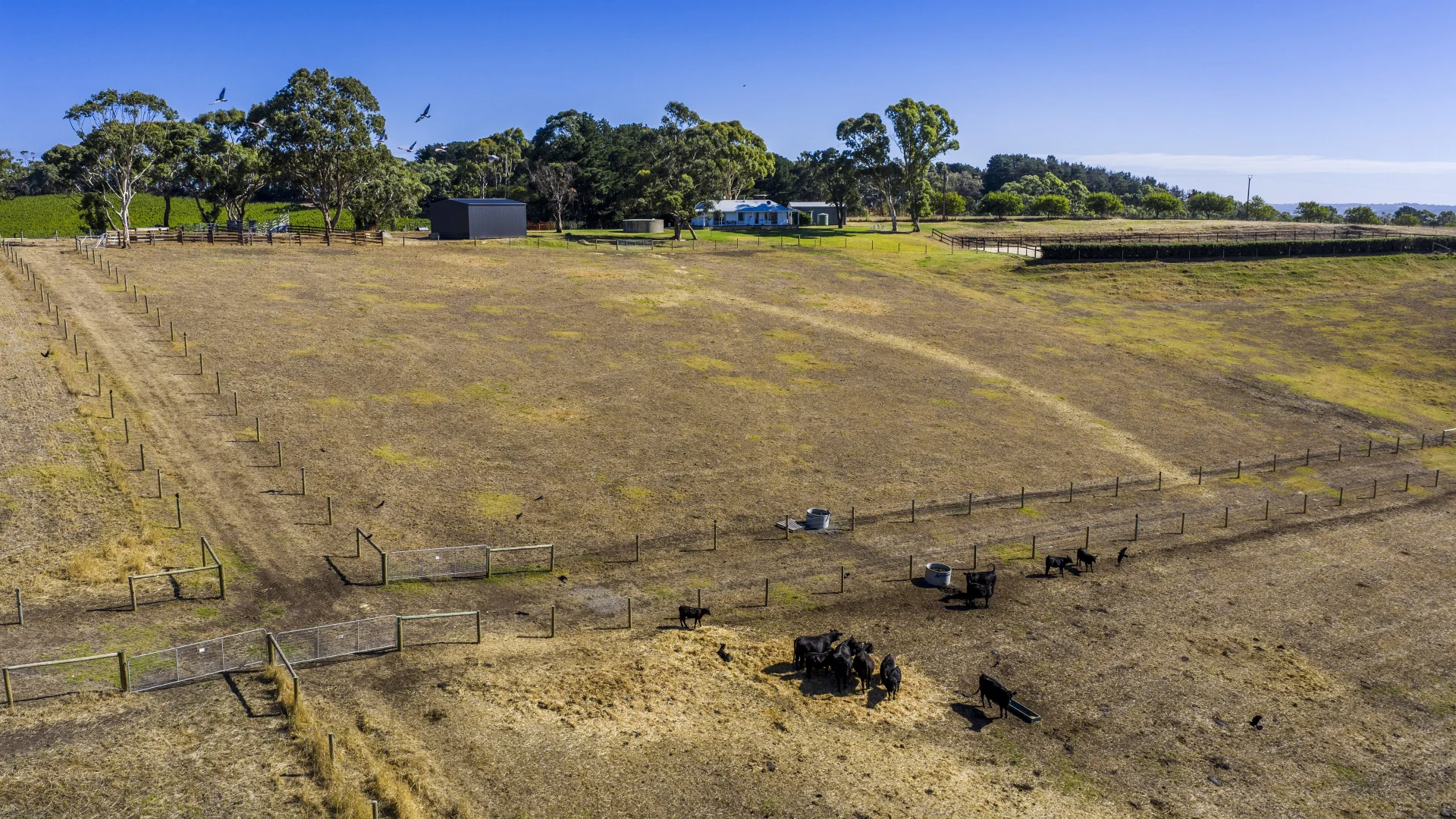 Additional image 29 of 224 Nicol Road, Meadows SA 5201