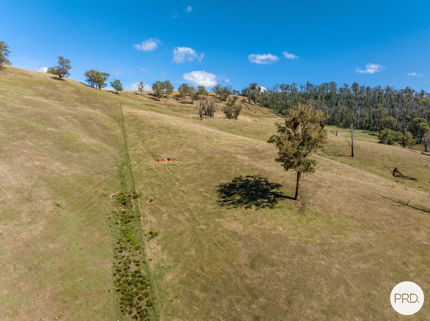 Additional image 43 of 1100 Batlow Road, Tumbarumba NSW 2653