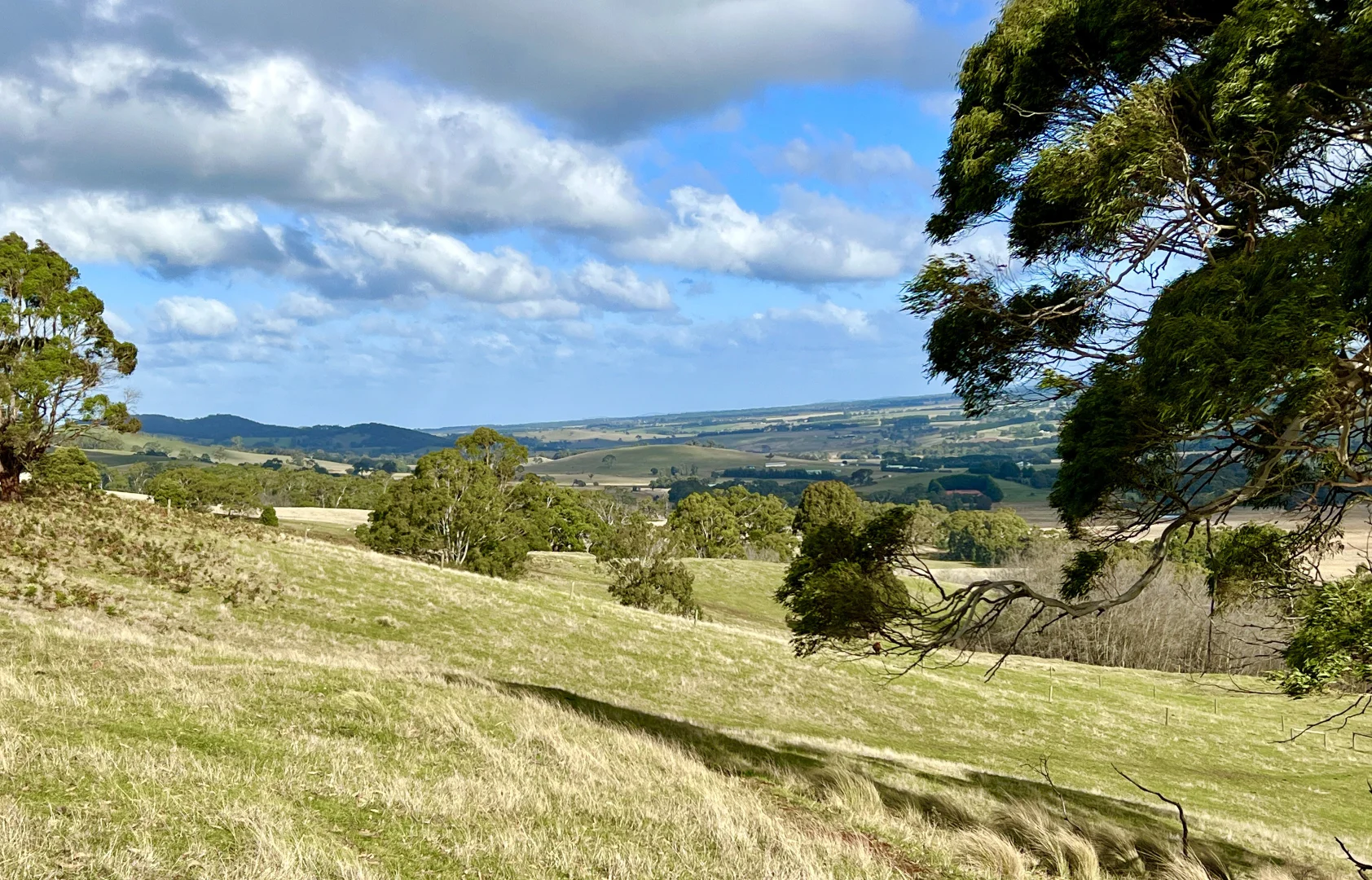 Additional image 4 of Red Gap Road/Fagans Lane, Goldie VIC 3435