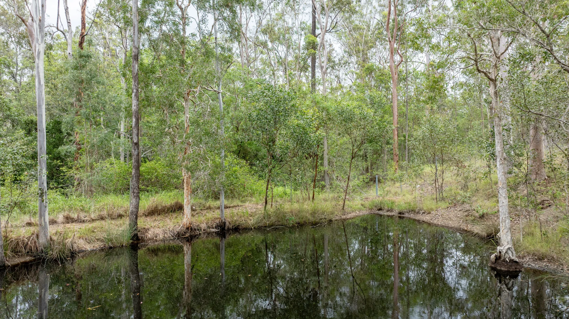 Additional image 24 of 49 Arborfourteen Road, Glenwood QLD 4570