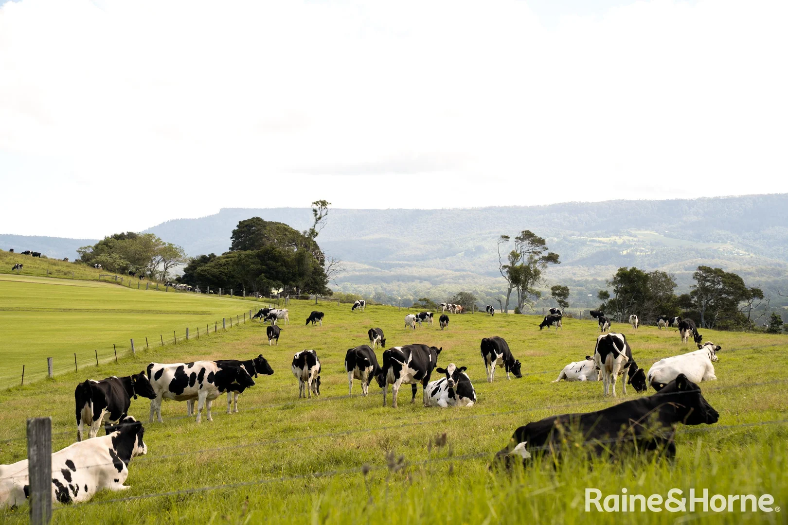 Additional image 14 of 22 (Lot 608) Melville Place, Milton NSW 2538