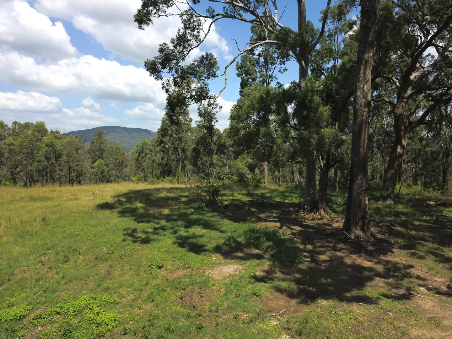 Additional image 3 of 1447 Gresford Road, Vacy NSW 2421