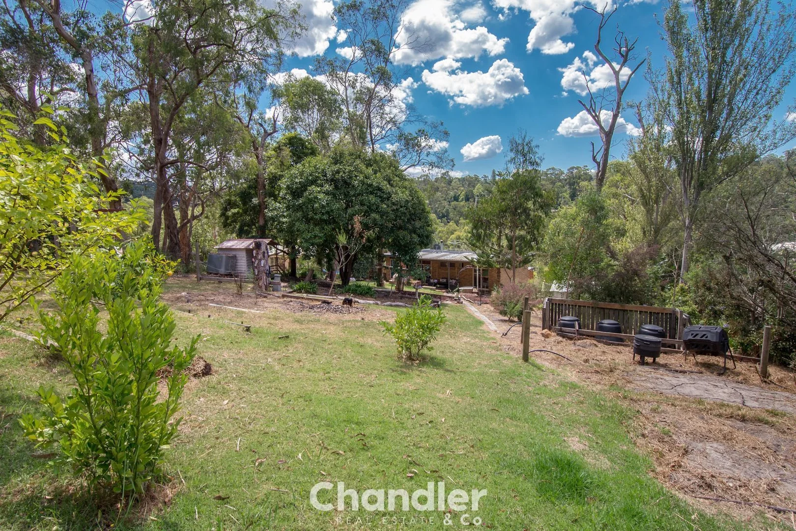Additional image 19 of 247 Mt Morton Road, Belgrave Heights VIC 3160