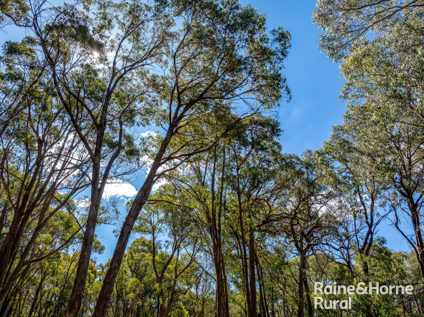 Additional image 4 of 1739 Bigga Road, Bigga NSW 2583