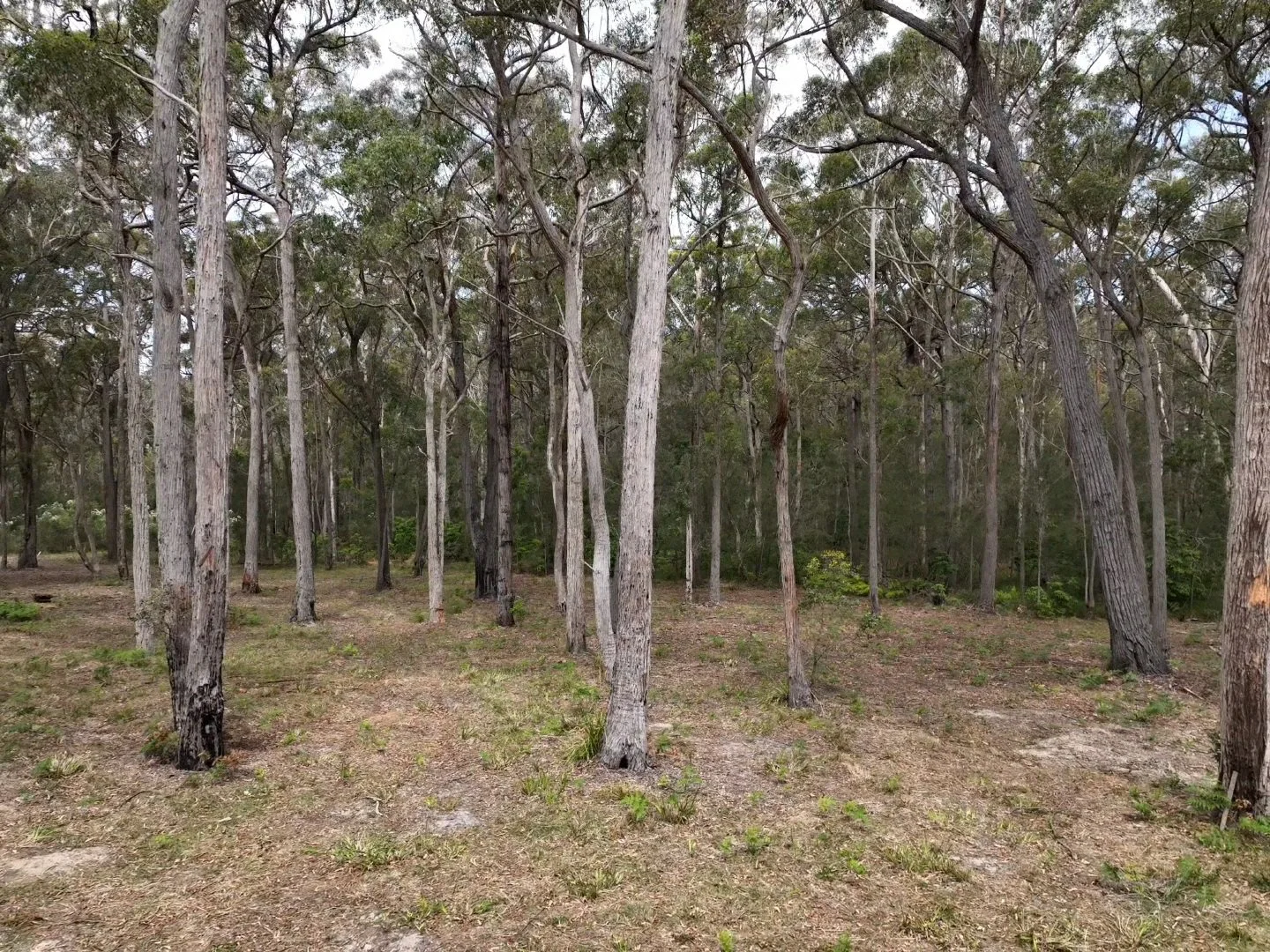 Additional image 8 of 30 Apple Berry Lane, Kalaru NSW 2550