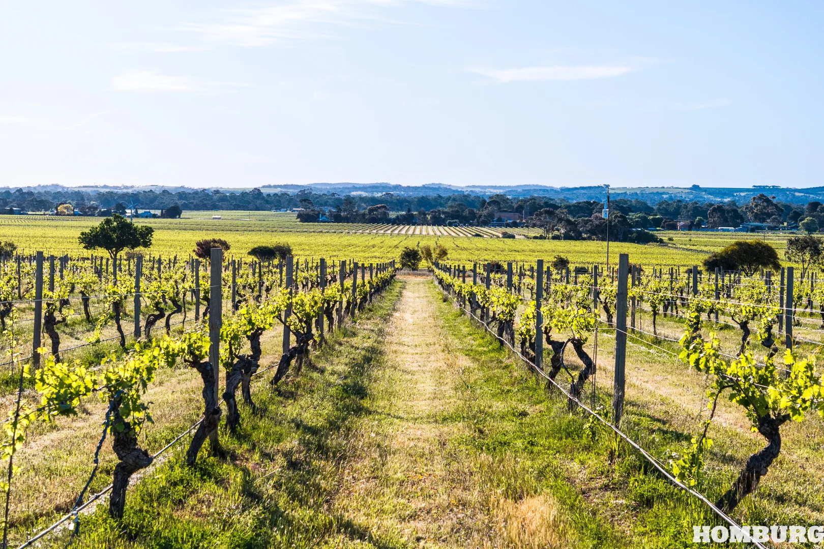 Additional image 30 of 527 Stockwell Road, Light Pass SA 5355