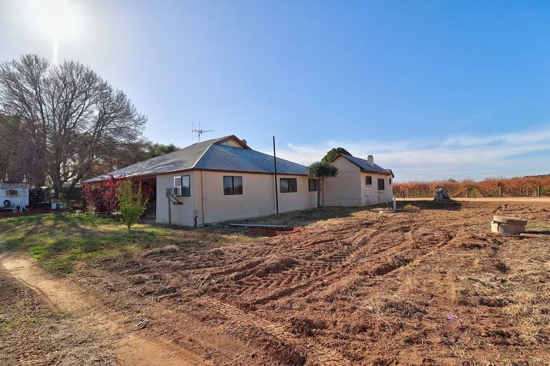Additional image 10 of 232 Arnold Coats Road, Cobdogla SA 5346