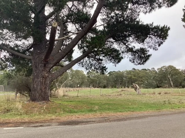 Additional image 5 of 1233 Waubra-Talbot Road, Evansford VIC 3371