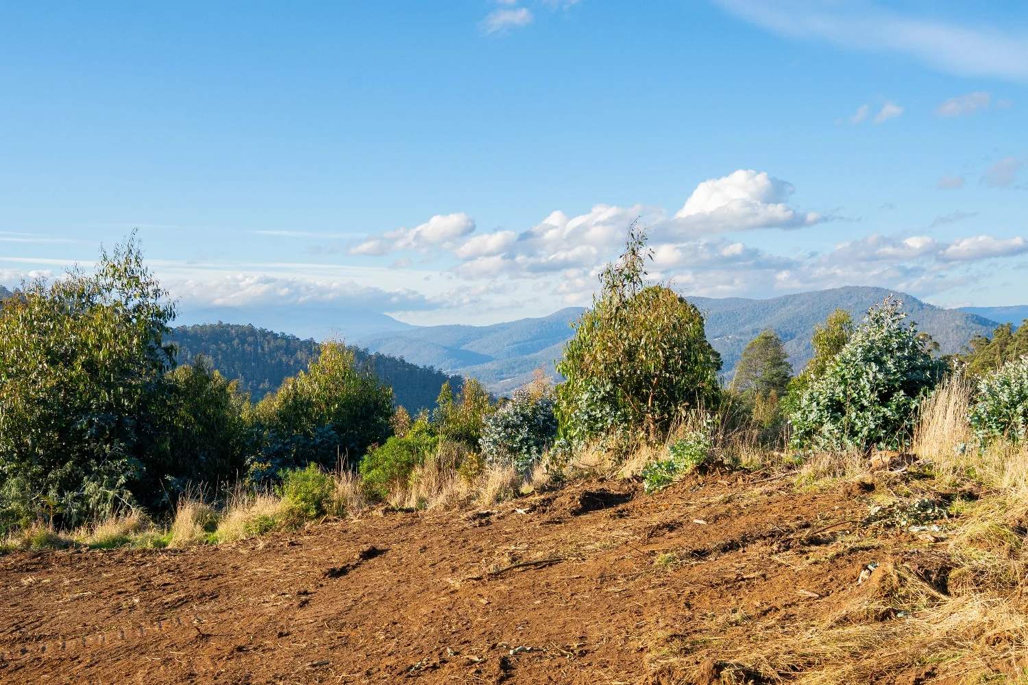 Additional image 4 of Lot 6 Paddys Lane, Franklin TAS 7113