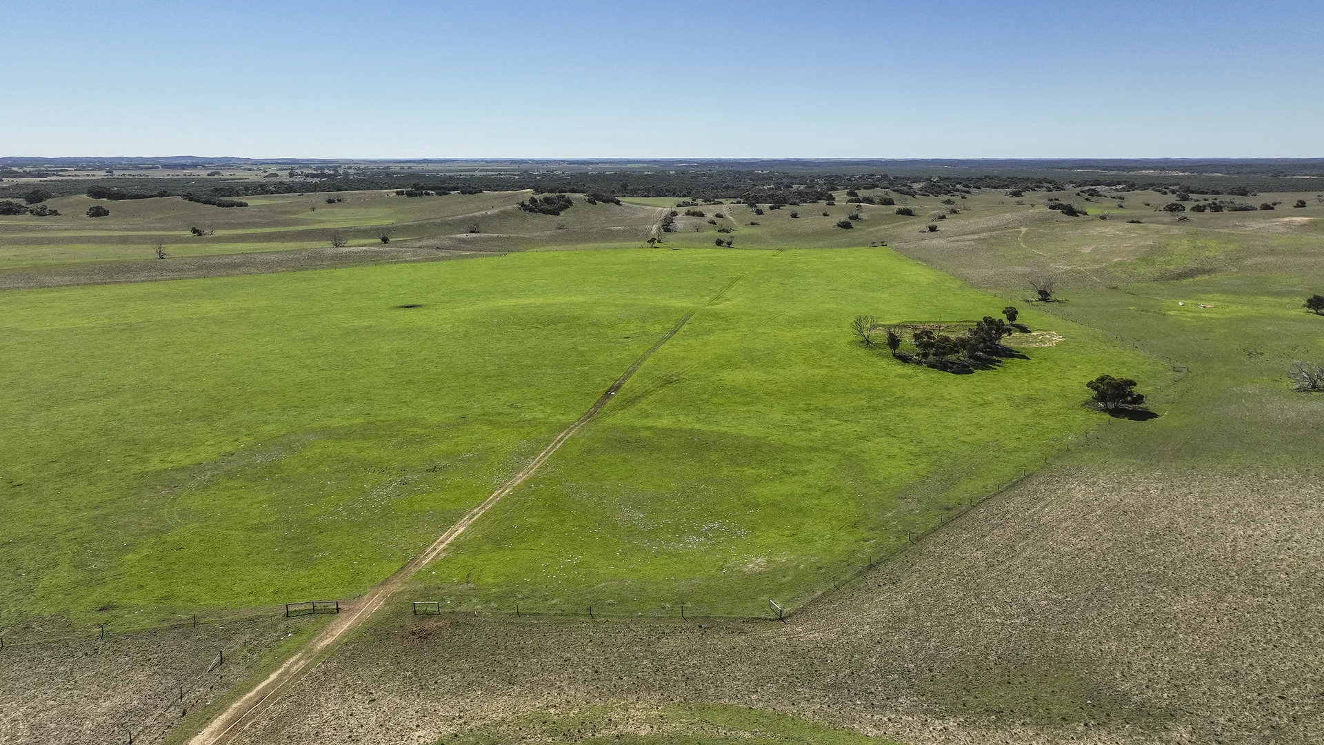 Additional image 46 of 381 & 907 Pascoe Road, Coonalpyn SA 5265
