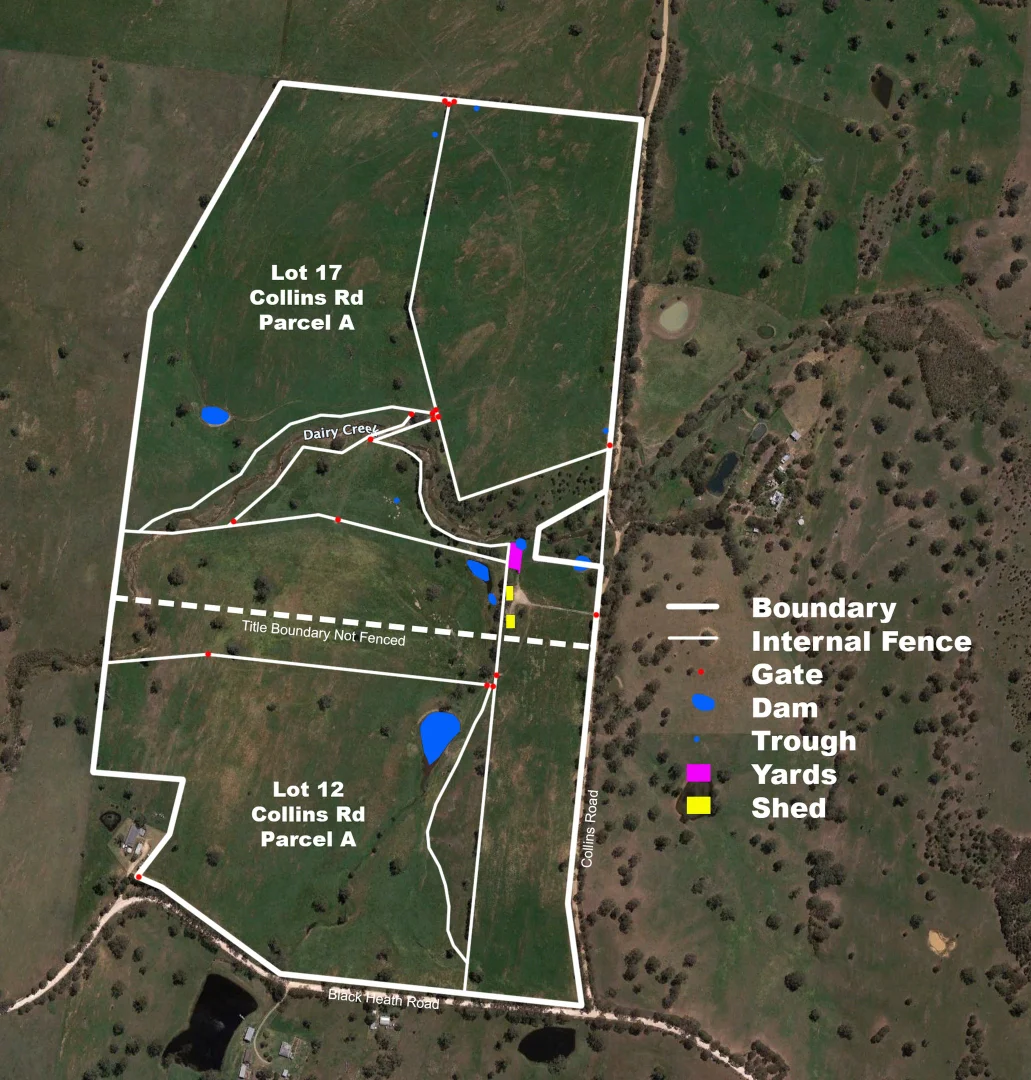 Additional image 35 of 312 Collins Road, Tungkillo SA 5236