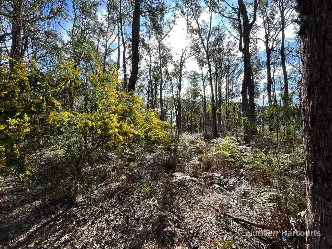 Additional image 11 of . South Gippsland Highway, Woodside VIC 3874