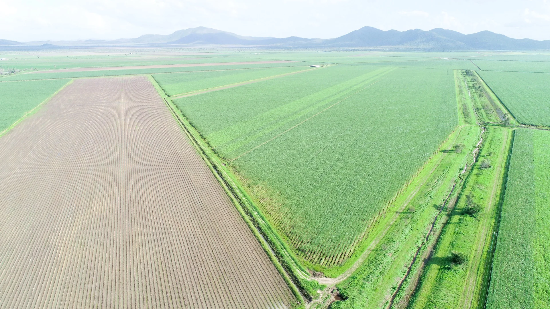 Additional image 11 of Kirknie QLD 4806