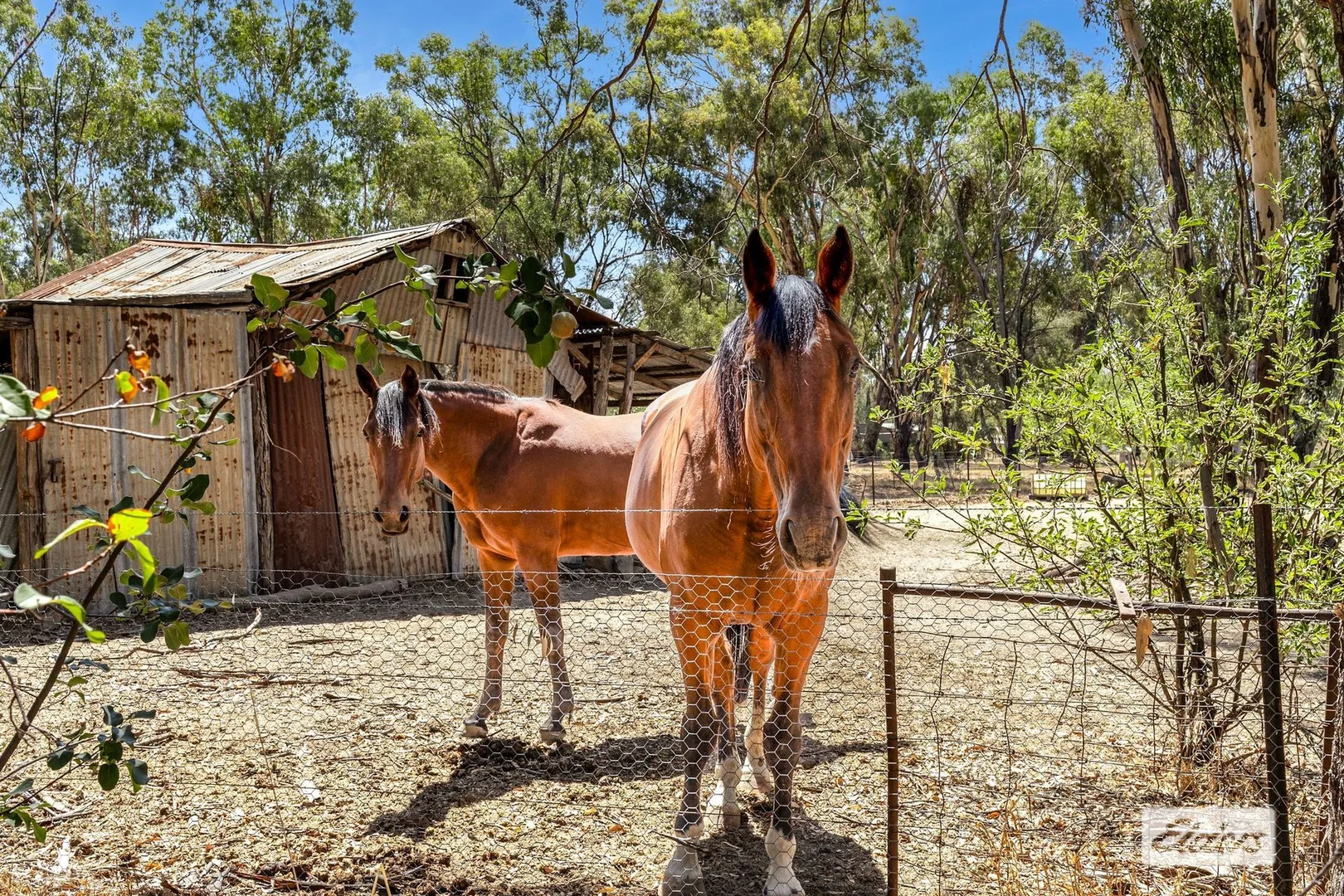 Additional image 3 of 1 Epsom Road, Chiltern VIC 3683