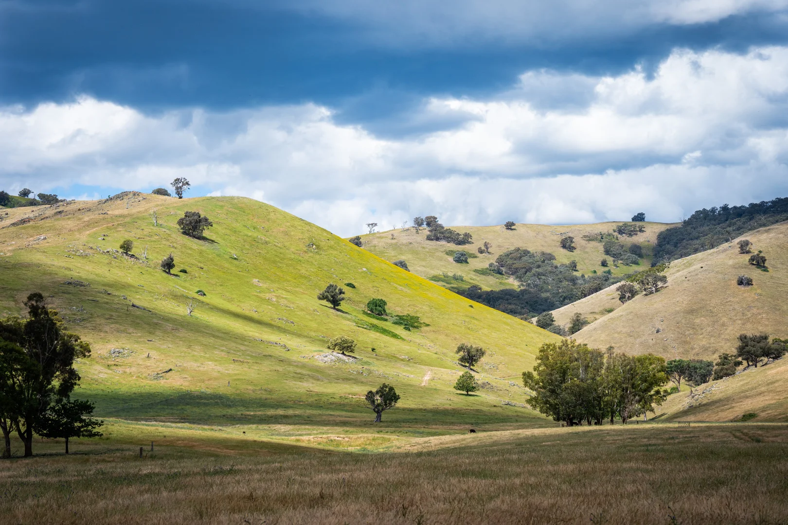 Additional image 27 of 4118 Murray River Road, Thologolong VIC 3691