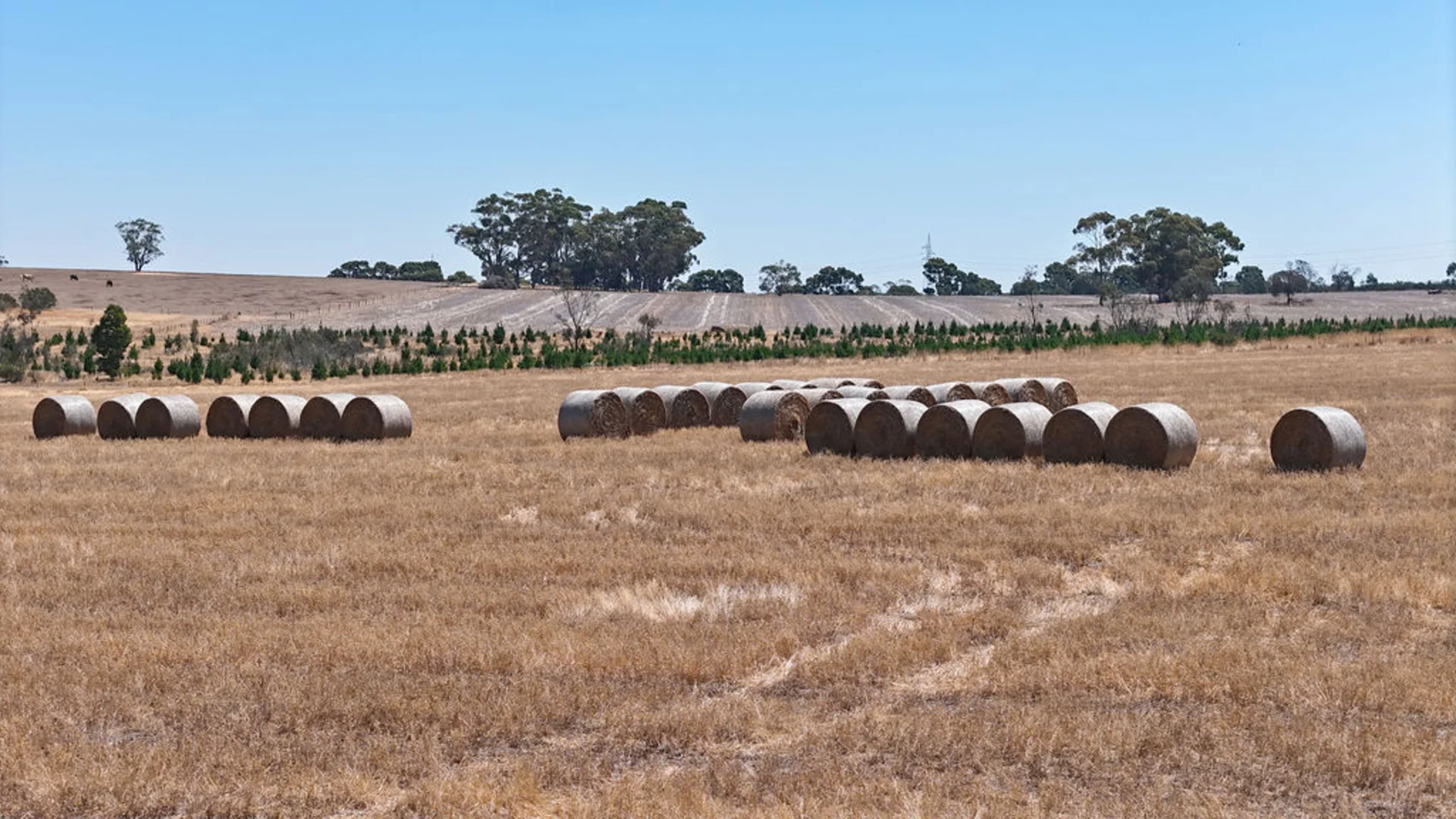 Additional image 5 of 30 Ryans Road, Cape Clear VIC 3351