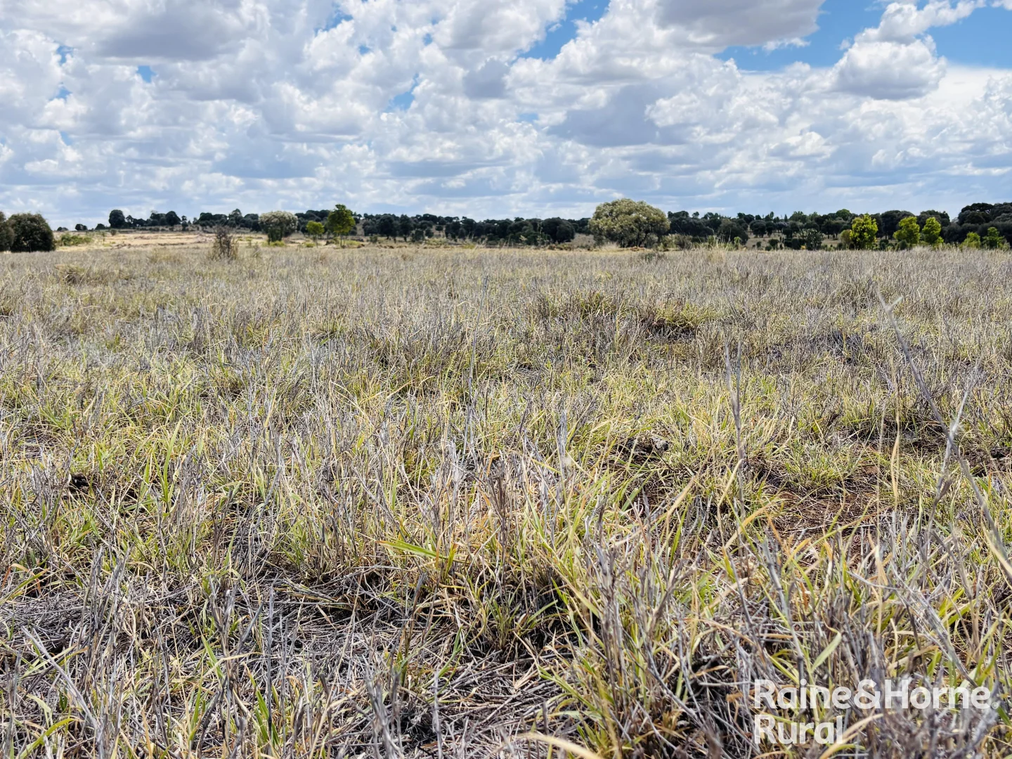 Additional image 4 of 330 Burrow Downs Road, Injune QLD 4454