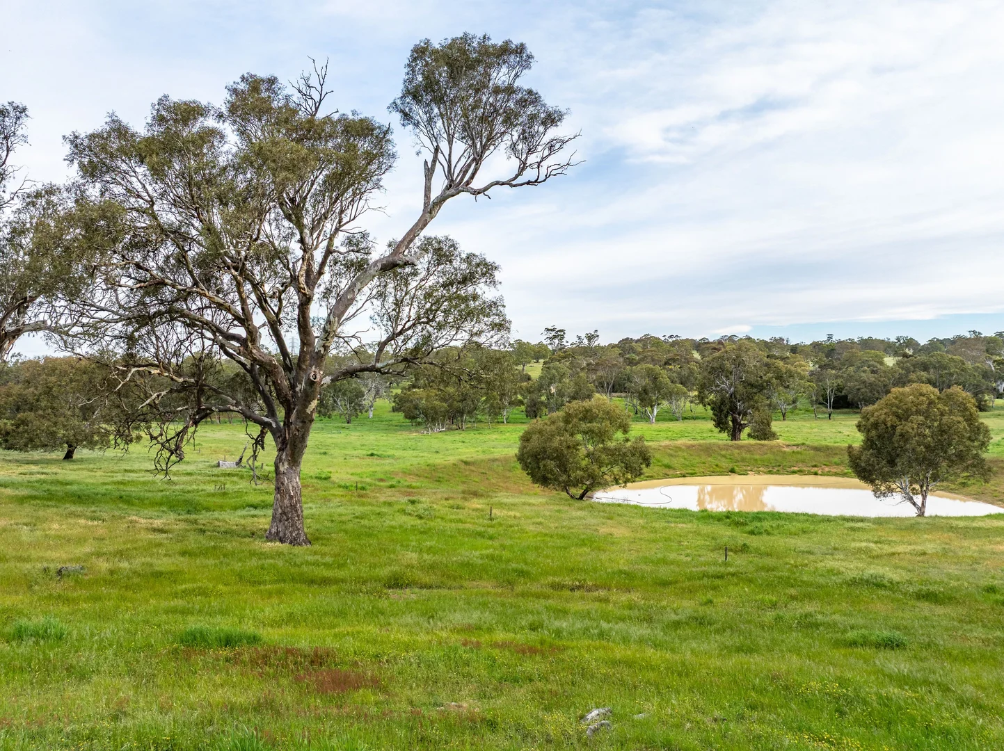 Additional image 28 of 312 Collins Road, Tungkillo SA 5236