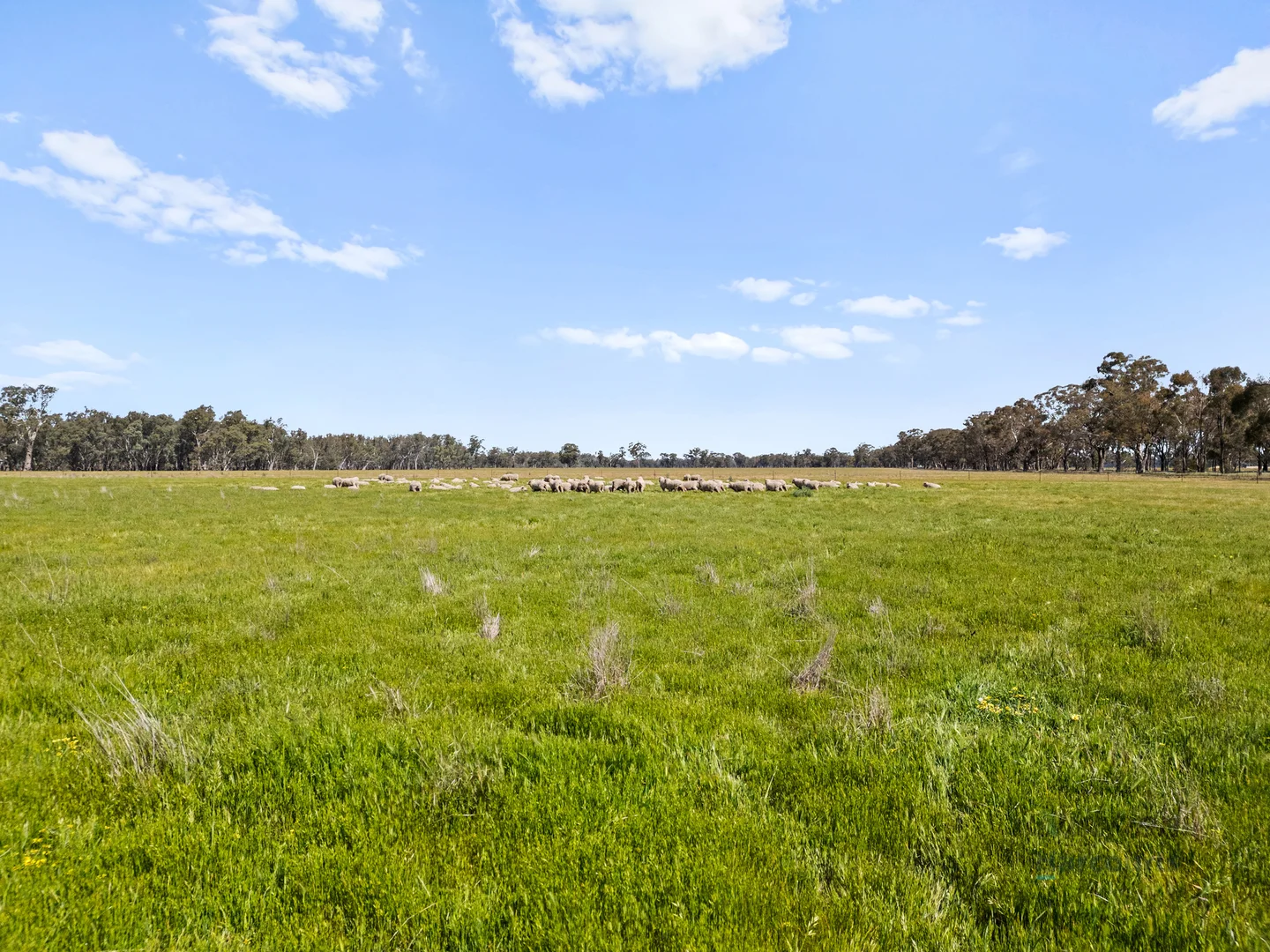 Additional image 6 of 1633 Euroa-Shepparton Road, Miepoll VIC 3666