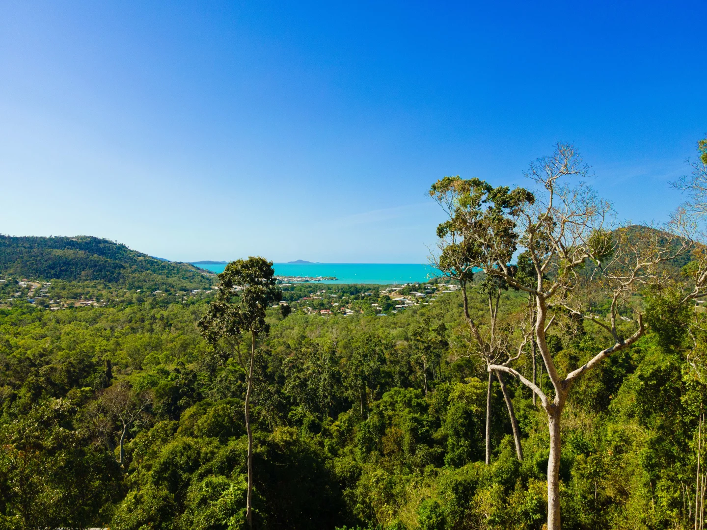 Additional image 4 of Lot 6/89 Timberland Road, Jubilee Pocket QLD 4802