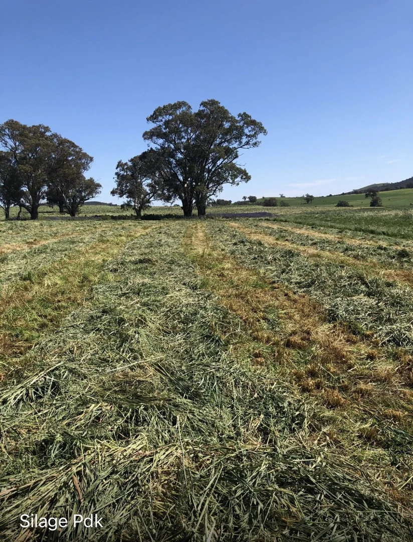 Additional image 4 of Address Via Request Road, Grenfell NSW 2810