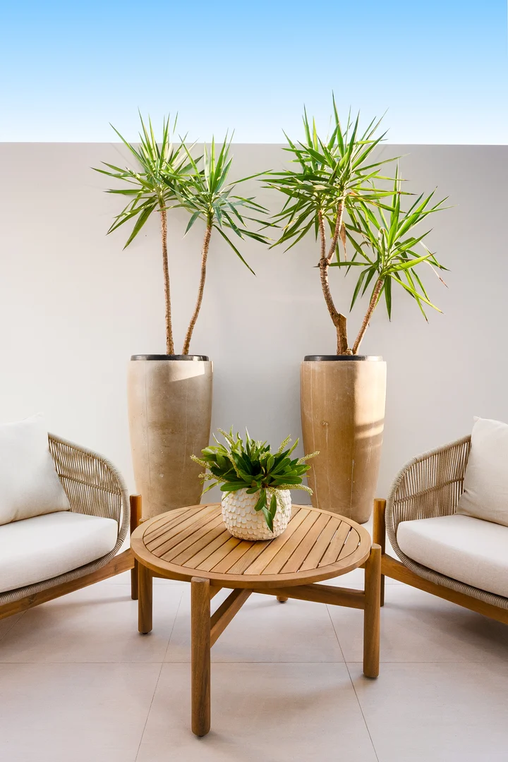 Additional image 4 of 6a Clifton Street, West Ryde NSW 2114