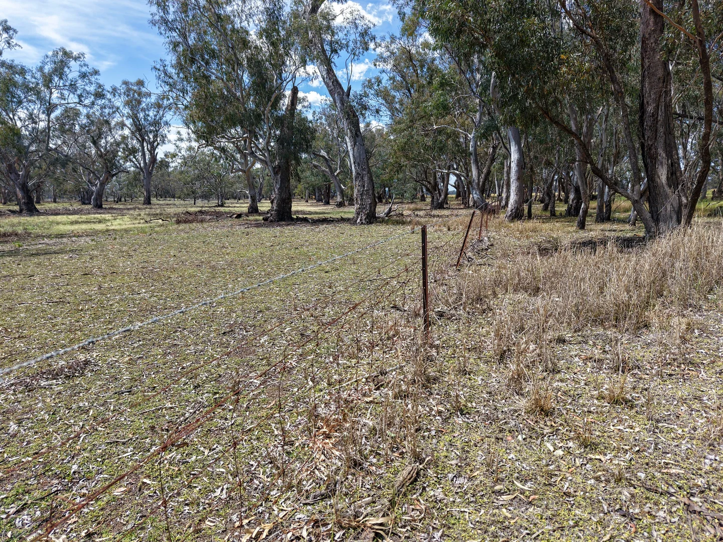Additional image 6 of 1359 Saddleback Road, Forbes NSW 2871