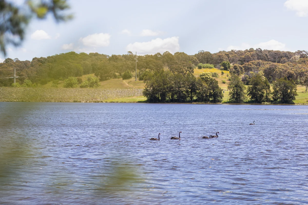 Additional image 19 of 34 Rosella Street, Nicholls ACT 2913