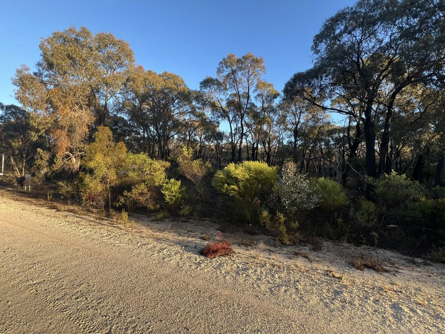 373 Josephine Drive, Wedderburn VIC 3518