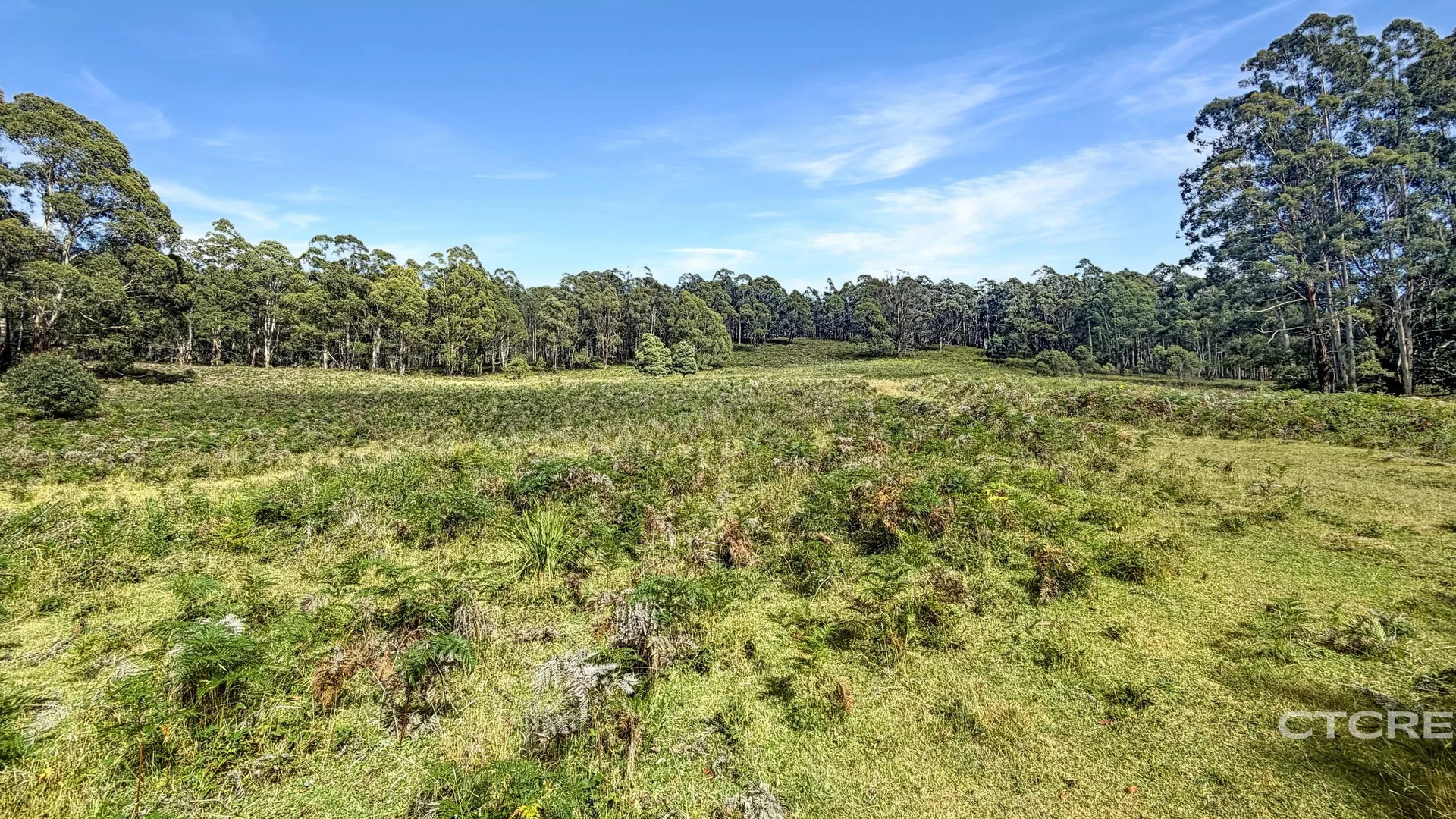 Additional image 15 of 12F & 12G Minchins Track, Bonang VIC 3888